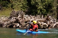 Engineered Log Jam on Green