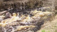 Prairie Dells