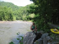 Cheat, Dry Fork, Section 4 Put-in on upstream end of river road