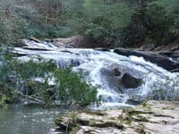5th Major rapid