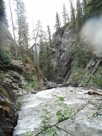 Elk Creek logjam
