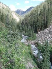 Elk Creek of the Animas