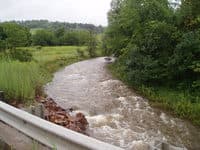 Medium Level on Mill Brook