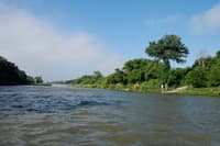 Cornell Bridge Put-in