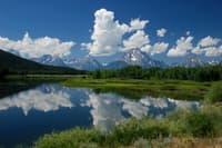 Snake, Oxbow Bend