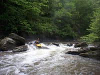 upper Spring Creek