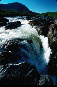 Delta Falls high water