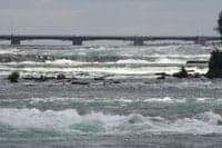 Upper Rapids