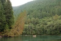 Skagit River