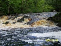 Tyler Forks Dells