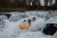 Waterloo Falls