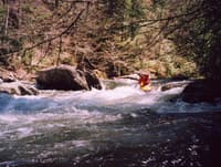 Cataloochee Creek