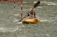 Fiddlehead Slalom