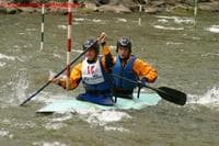 Fiddlehead Slalom