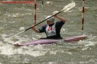 Fiddlehead Slalom