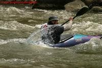 Fiddlehead Slalom