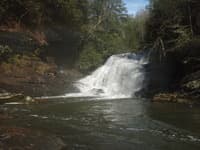 Taylor Shoals
