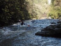 Boogy water below Taylor Shoals