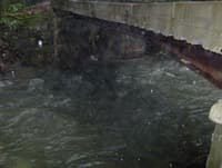 Gauge Bridge 1