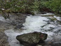 Put in with good low flow