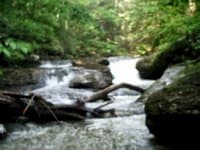 Strained falls