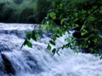 First Waterfall on Madams