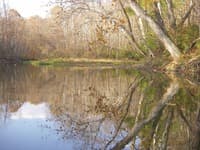 fall low water