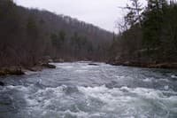 Looking Upstream @ Swimmers