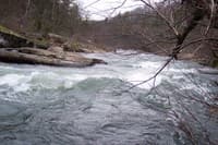 Looking Downstream @ Swimmers