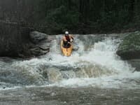 Timber Falls
