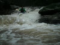 Shawn Parker Timber Falls
