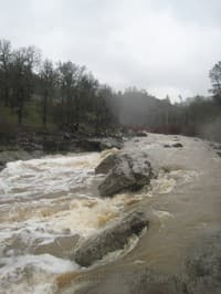 Typical bear creek rapid (downstream)
