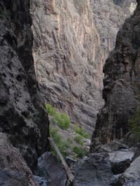 View of Narrows Pinch