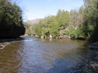 Lower Cato Falls (3)