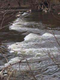 Timber Dam (2)