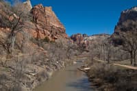 Zion near Emerald Pool trail