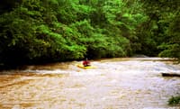 What Rapids?