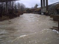 Tree Down at Bridges