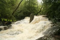 rapid above portage