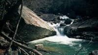 Manns Creek 2