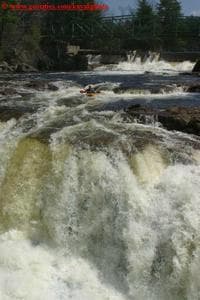 Spine Compressor Falls