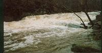 mckeldon falls