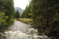 Looking Upstream on Nason Creek