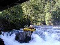 Raft Guide at Husom Falls