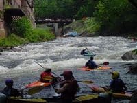 Factory Rapid