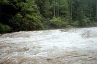 Roostertail, River right @ 1.4