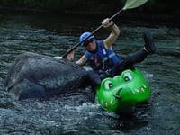 Crocodile Jenkins