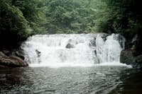 Dick's Creek Falls