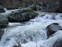Rapid Sequence One