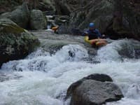Rapid Sequence Two
